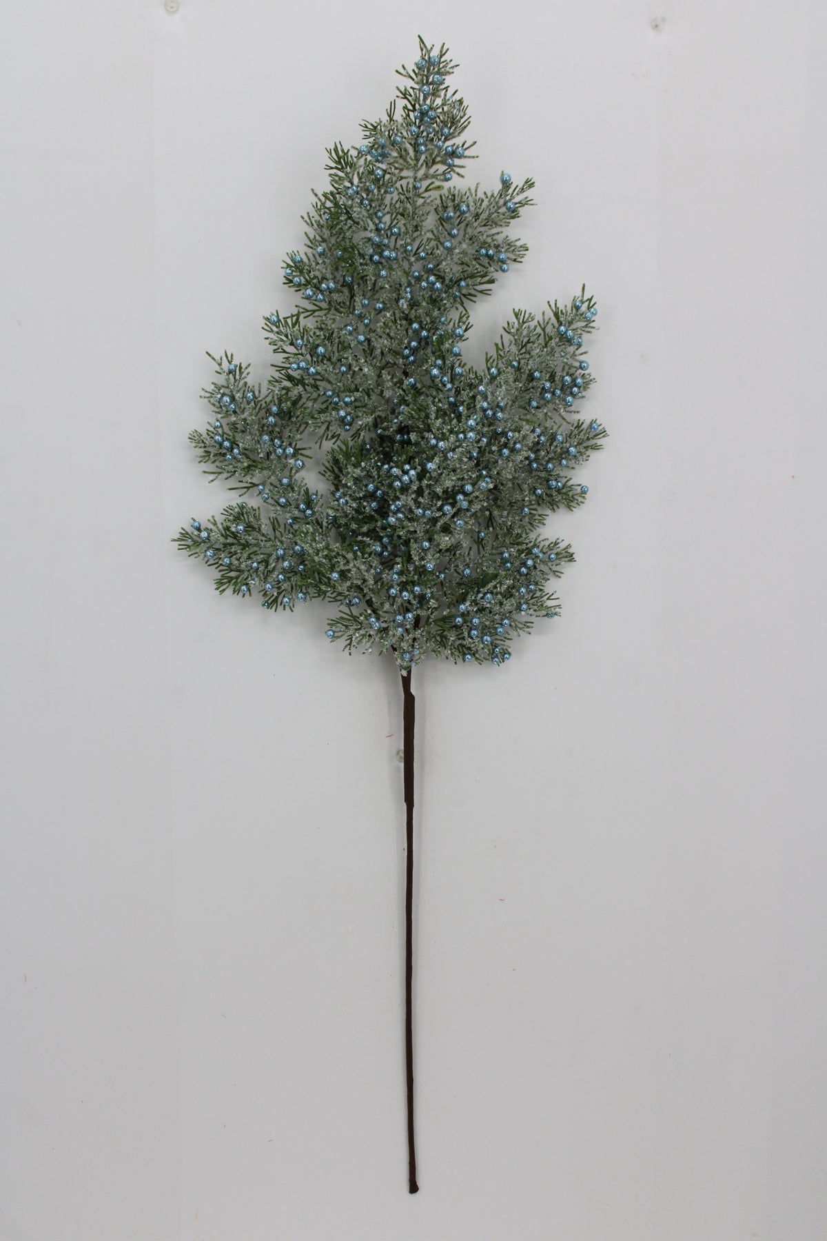 A single branch with green leaves and small blue berries is displayed against a white background.