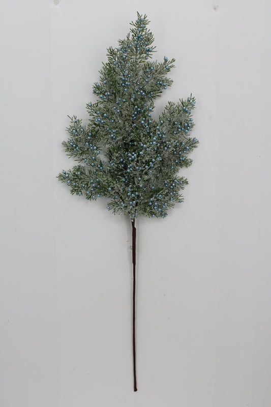 A single branch with green leaves and small blue berries is displayed against a white background.
