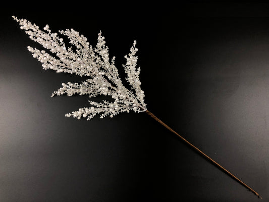 A branch with small white flowers or buds is shown against a dark background.