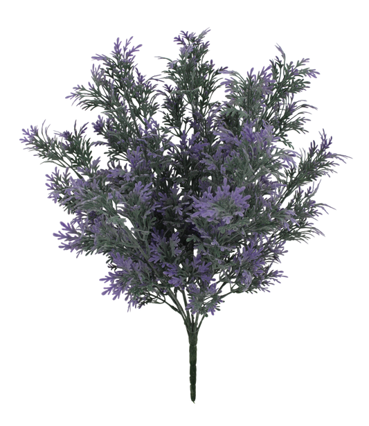 A close-up view of a cluster of lavender flowers against a black background.
