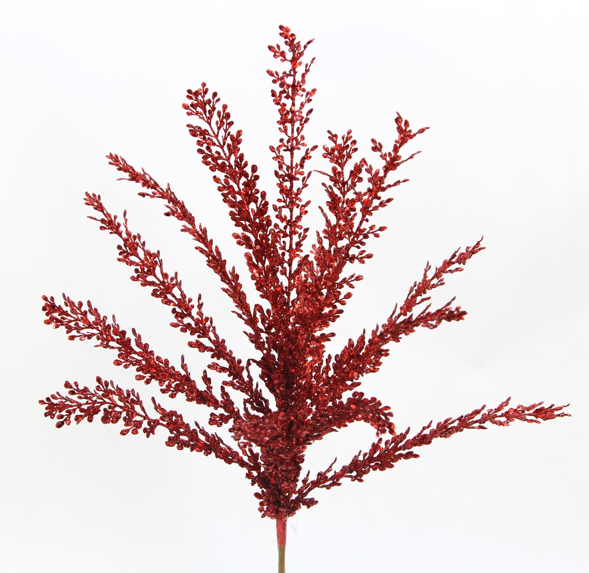 A single, vibrant red plant with numerous small leaves and branches, creating a striking and eye-catching visual.