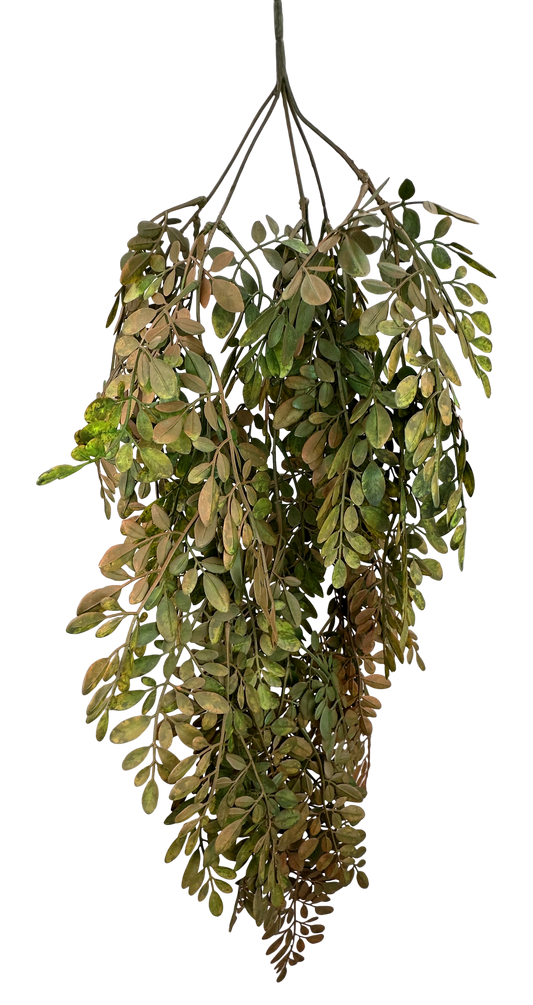 A bunch of green and brown leaves hanging from a stem.