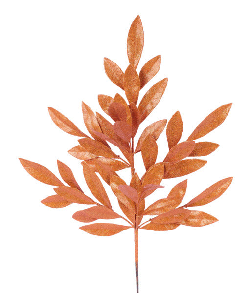 a plant with orange leaves on a white background