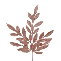 a single leaf is shown on a white background