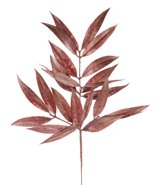 a branch with numerous reddish-brown leaves, creating a striking contrast against the white background.