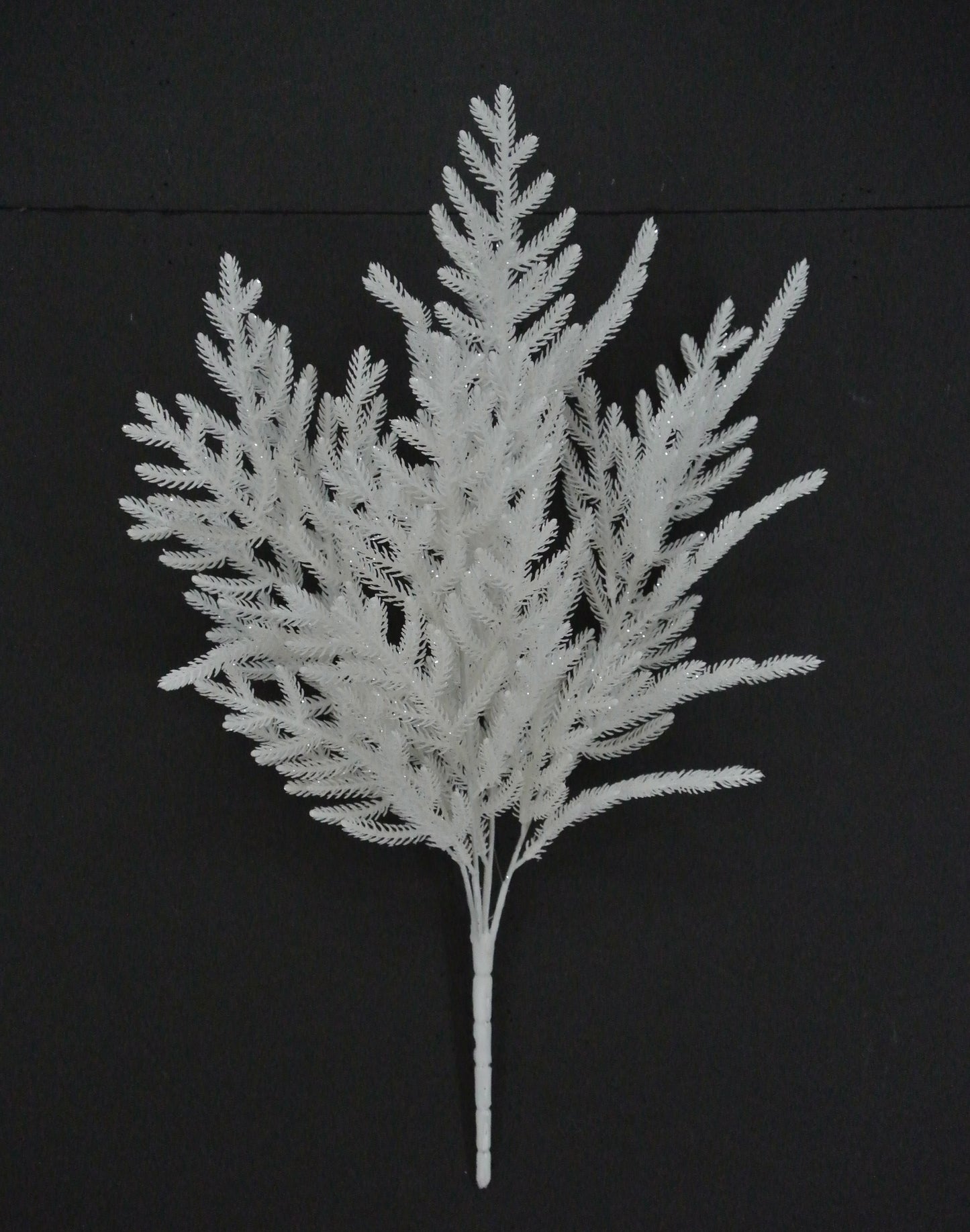 A white, spiky branch with multiple thin leaves, resembling a pine cone or a similar natural structure, against a dark background.