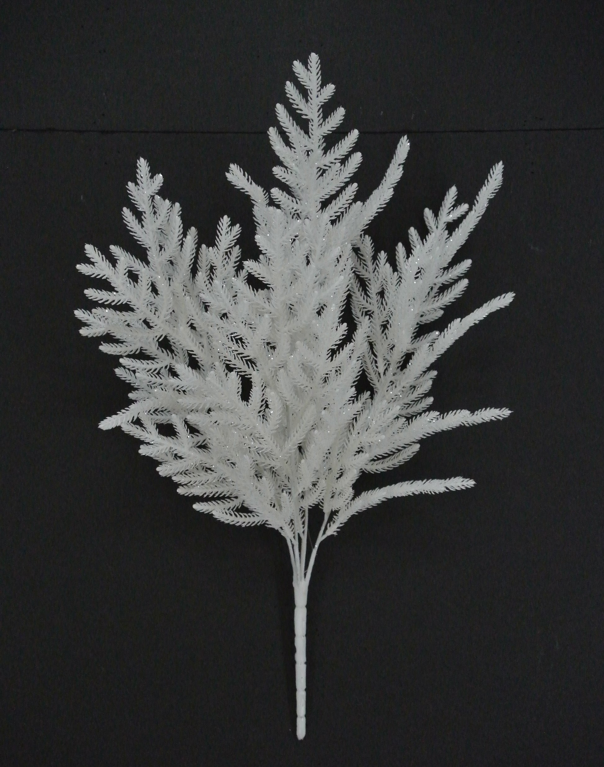 A white, spiky branch with multiple thin leaves, resembling a pine cone or a similar natural structure, against a dark background.