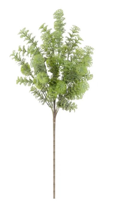 A tall, slender plant with green leaves and a brown stem.