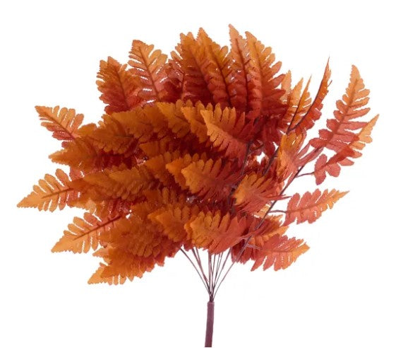 A cluster of vibrant orange fern leaves against a white background.