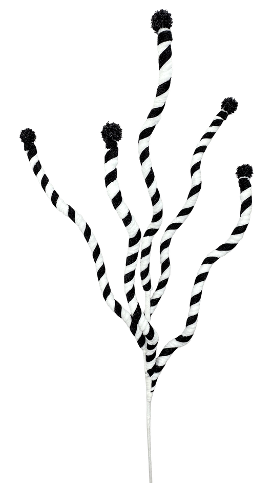 a group of black and white striped pom poms arranged in a stylized manner, resembling a plant or a decorative element.