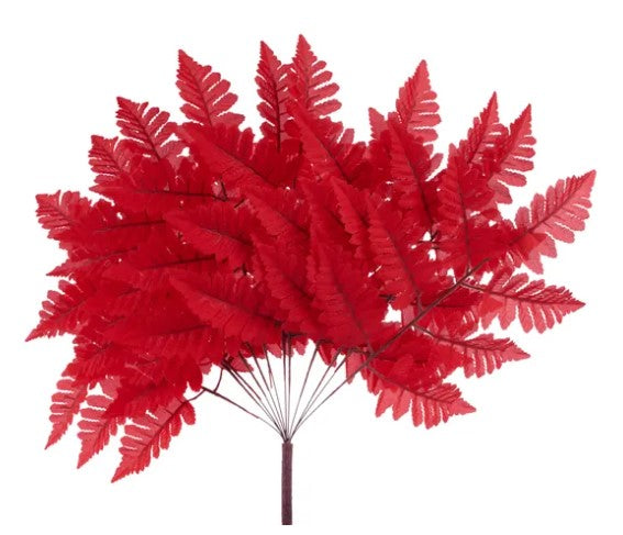A large cluster of red fern-like leaves against a white background.