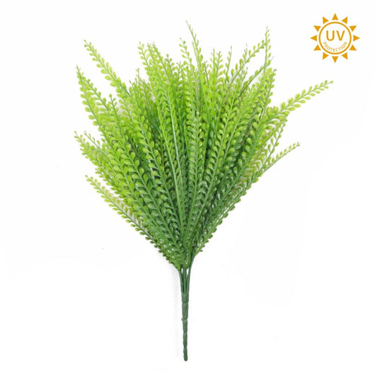 a close up of a green plant on a white background