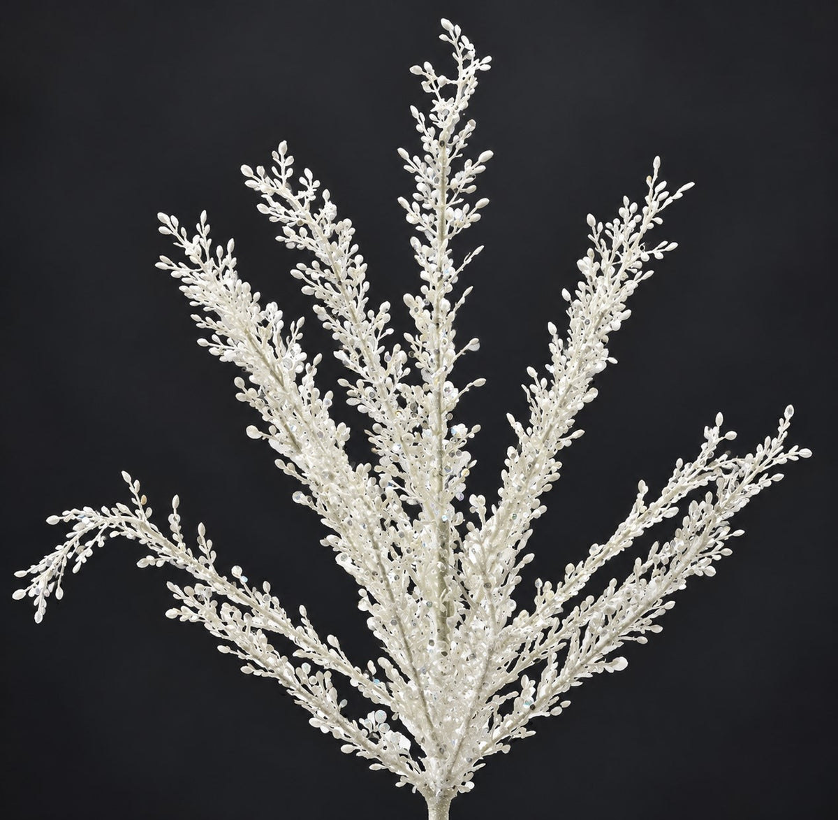 A close-up view of a branch with numerous small white flowers or leaves against a dark background.