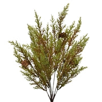 a tall tree with lots of green leaves