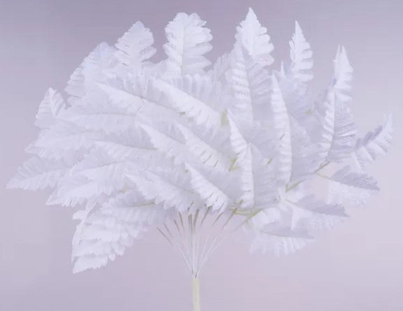 A cluster of white, feathery leaves or fern-like structures against a light purple background.