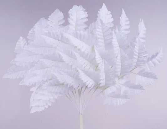 A cluster of white, feathery leaves or fern-like structures against a light purple background.
