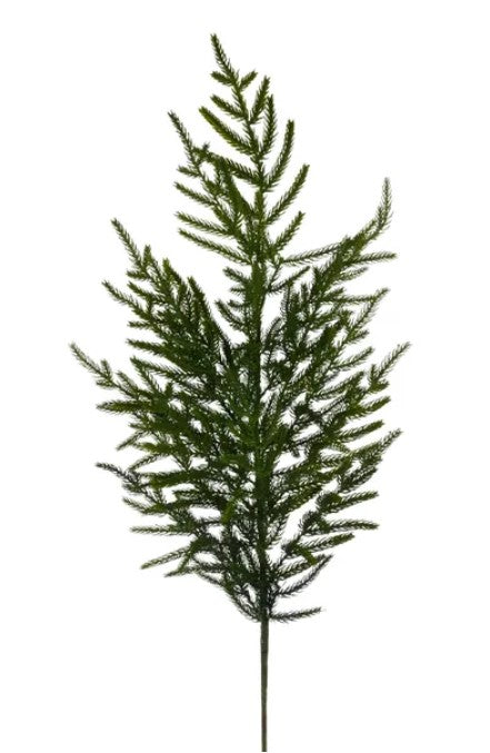 A single, lush green pine tree branch with numerous small needles.