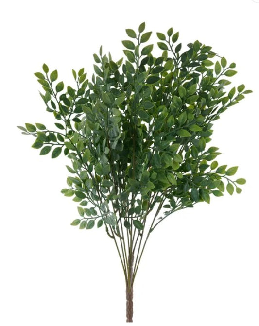 A bunch of green leaves on a stem.