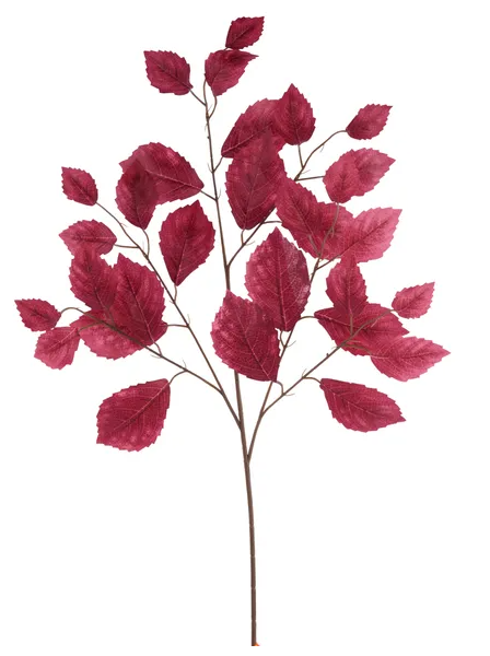 a branch with red leaves, creating a striking contrast against the white background.