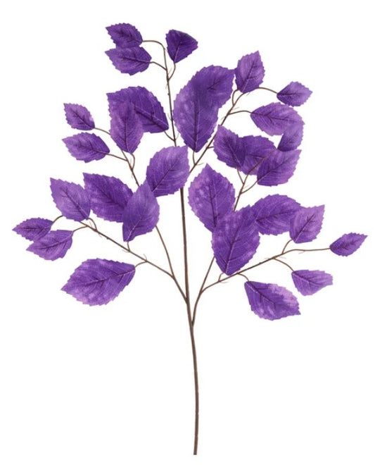 a branch with purple leaves, creating a visually striking contrast against the white background.