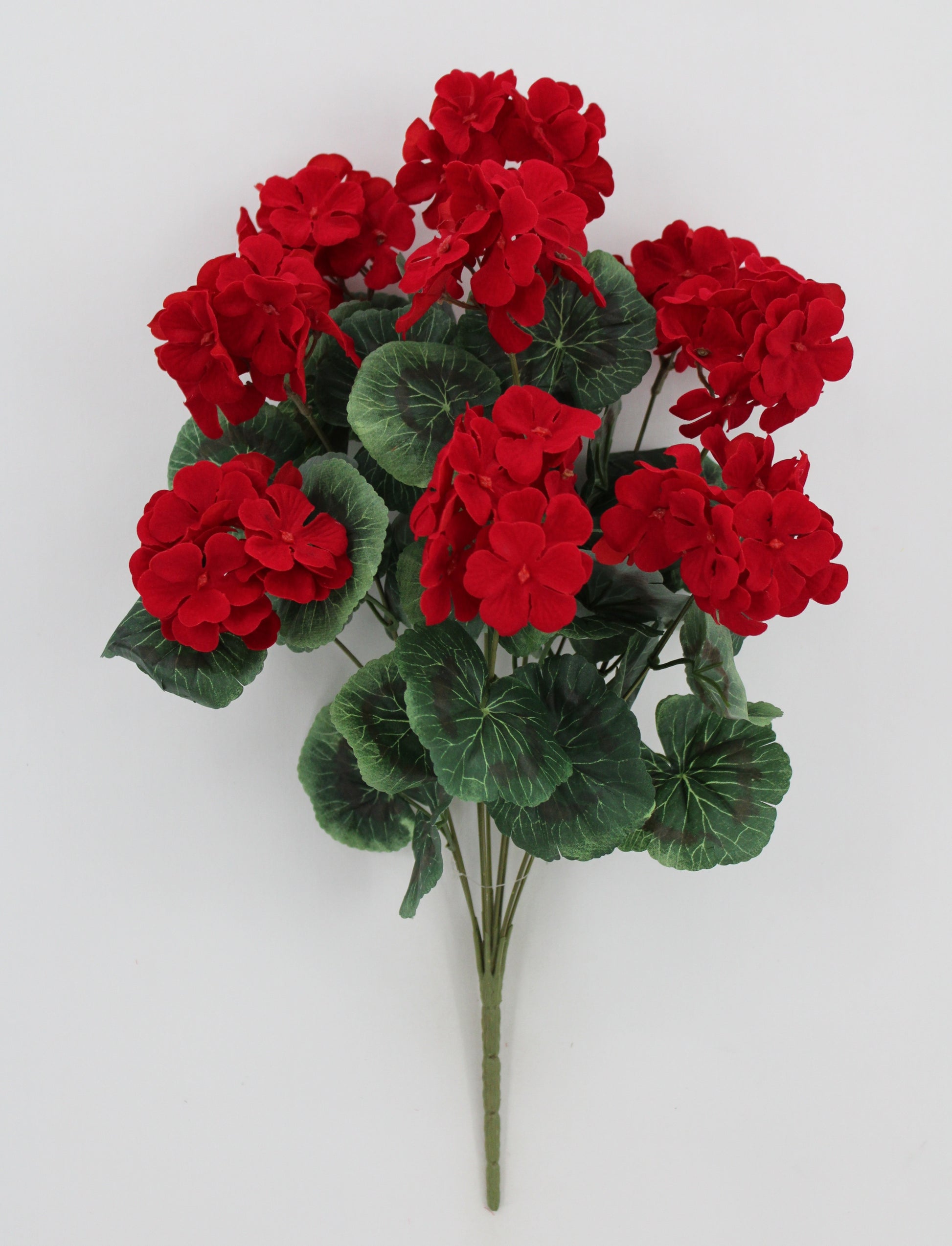 A bouquet of vibrant red hydrangea flowers with green leaves, arranged in a visually appealing manner against a plain white background.