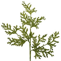 a close up of a plant on a white background