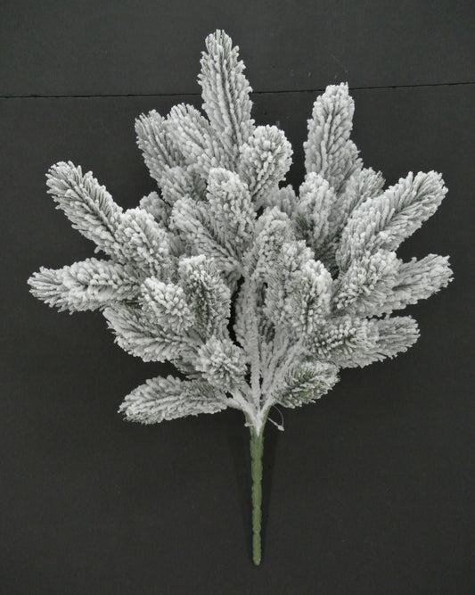 A close-up view of a snow-covered branch with delicate, intricate patterns against a dark background.