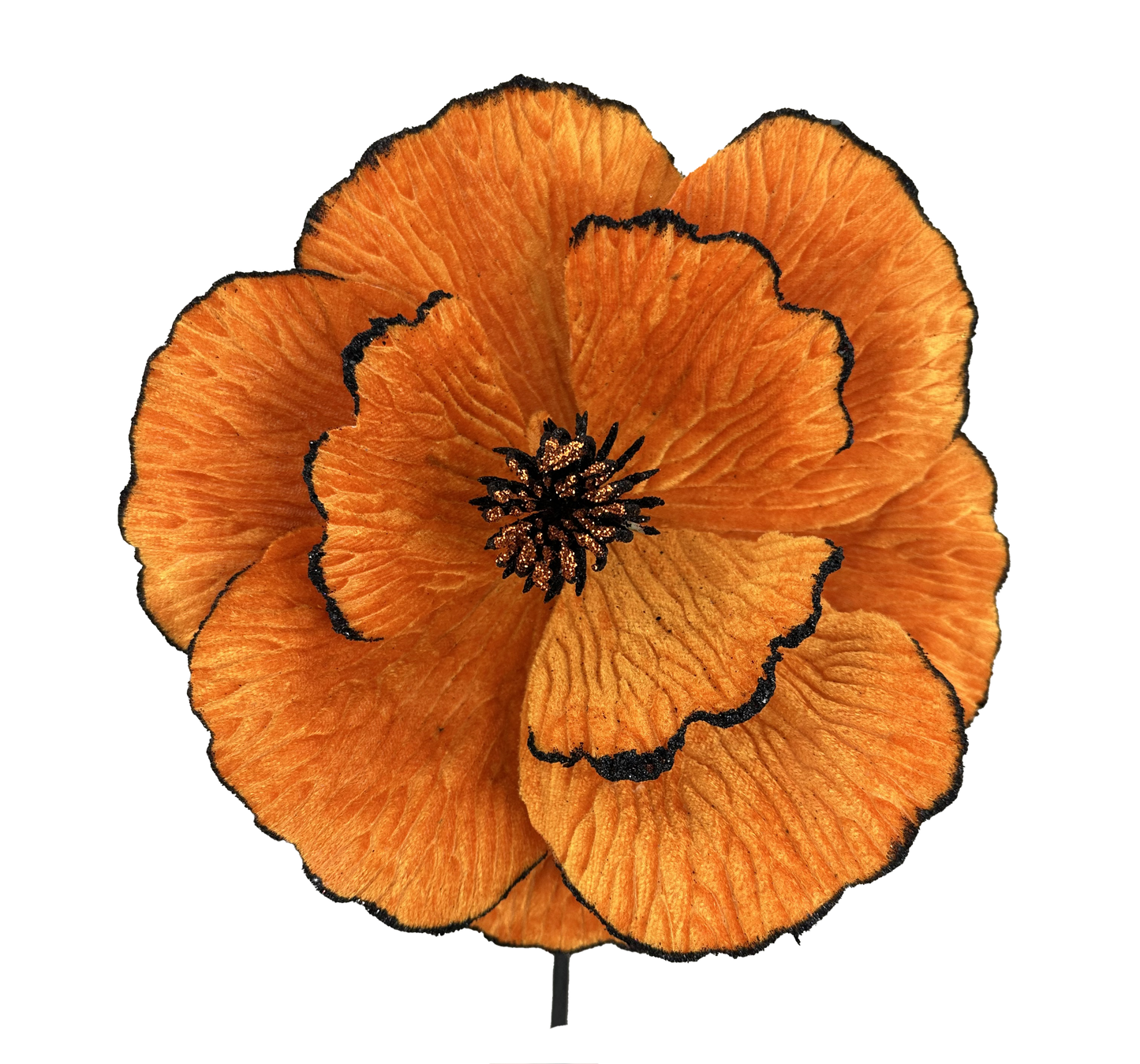 A close-up view of a vibrant orange flower with black petals, showcasing its intricate details and texture.