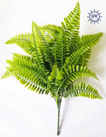 A bunch of vibrant green fern fronds against a white background.
