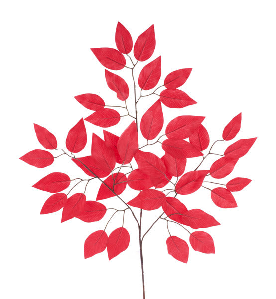 a branch with red leaves, creating a striking contrast against the white background.