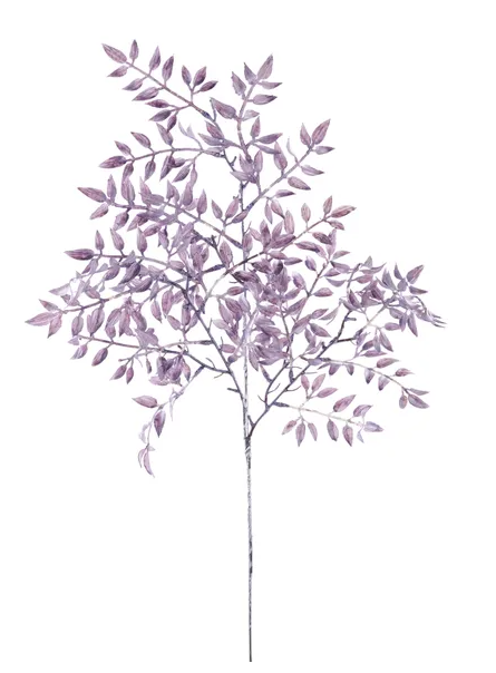 A single purple branch with numerous small leaves, creating a striking and visually appealing image.