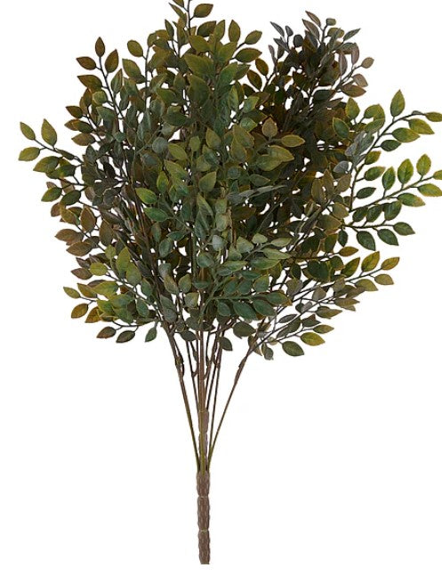 A group of green leaves on a stem, creating a natural and lush appearance.