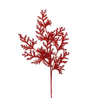 a red plant is shown on a white background