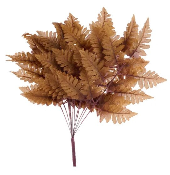 A cluster of brown fern leaves against a white background.