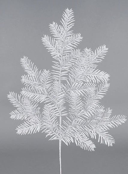 A white, snow-covered tree branch with numerous small, needle-like leaves.