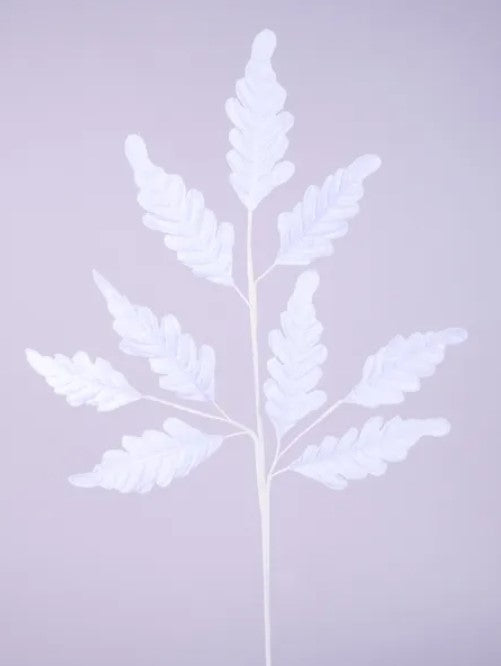 A white, leaf-like object with multiple thin, pointed leaves attached to a central stem.