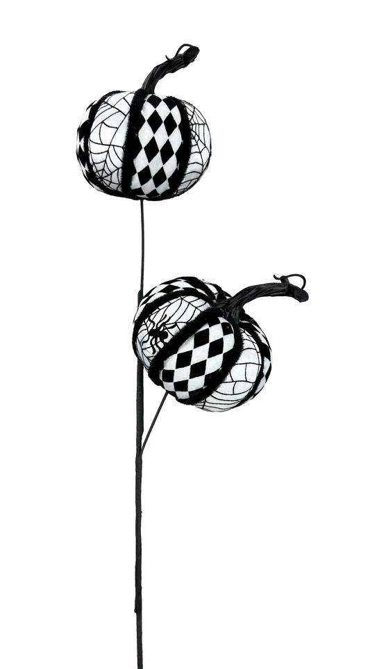 two black and white pumpkins with checkered patterns on them, standing on a stick.