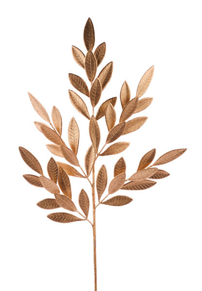 a plant with leaves on a white background