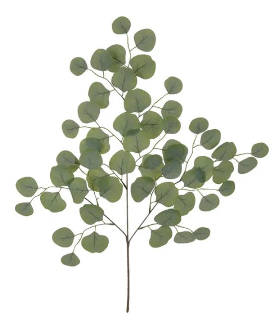 a branch of a plant with numerous green leaves arranged in a pattern.