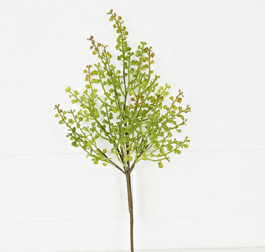 a small green plant in a pot on a table