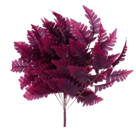 A cluster of vibrant, deep purple fern leaves against a white background.