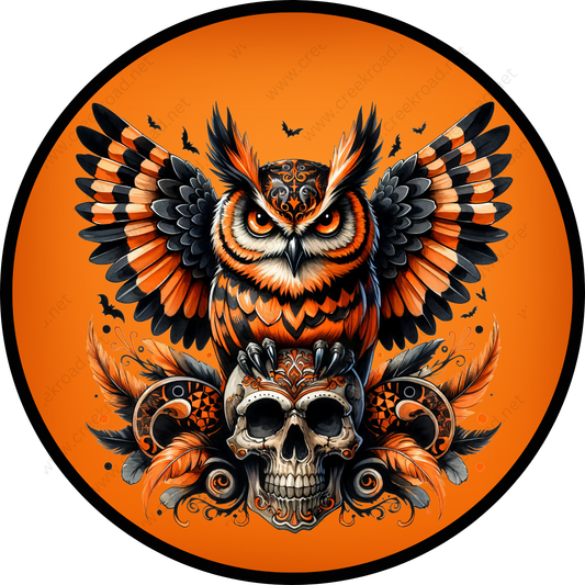 an owl sitting on top of a skull