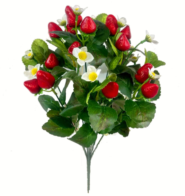 Strawberry Bush, 17.5"H-E64261684