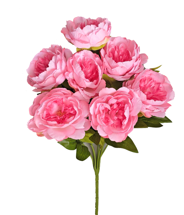 Peony Bush x7, 20.5"H Pink-E64261721