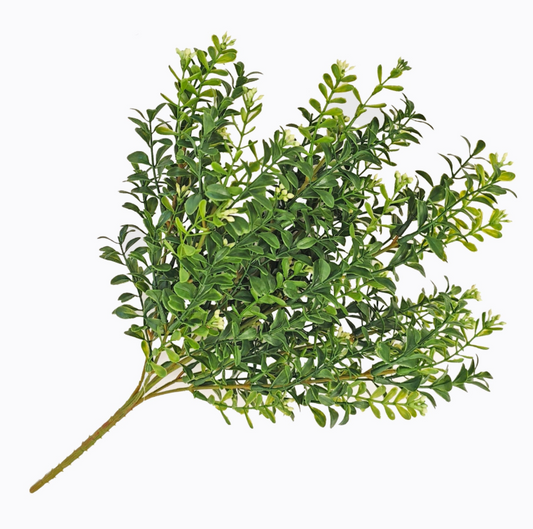 Boxwood & Seeds Bush 18" 7 Stems, Mixed Green-E66251149