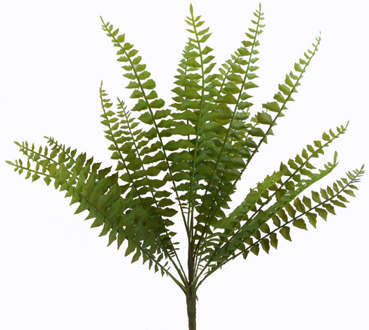 Fern Bush X18, 18" Green-E66261614