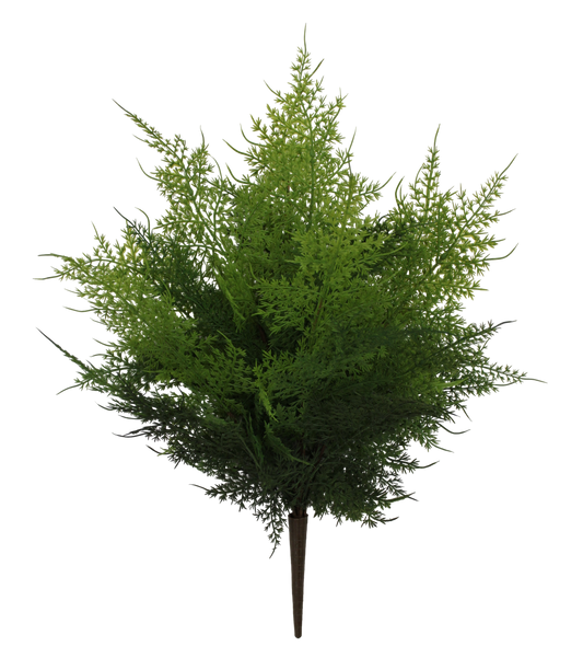 A lush, green tree with numerous branches and leaves stands prominently against a black background.