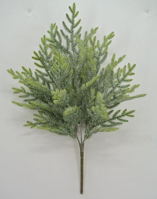 A branch of a tree with green needles and a brown stem.