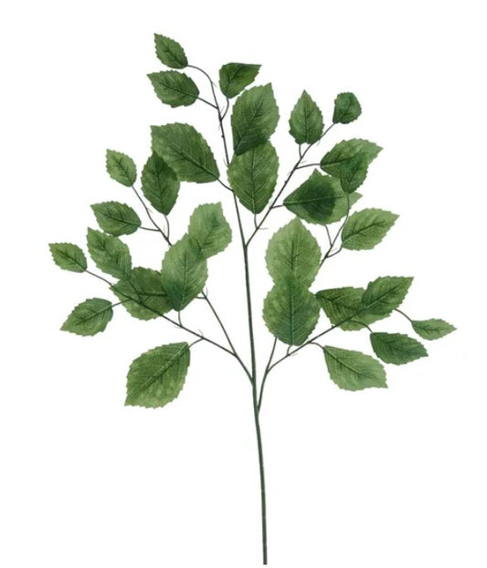 A branch with green leaves, resembling a plant or tree, against a white background.