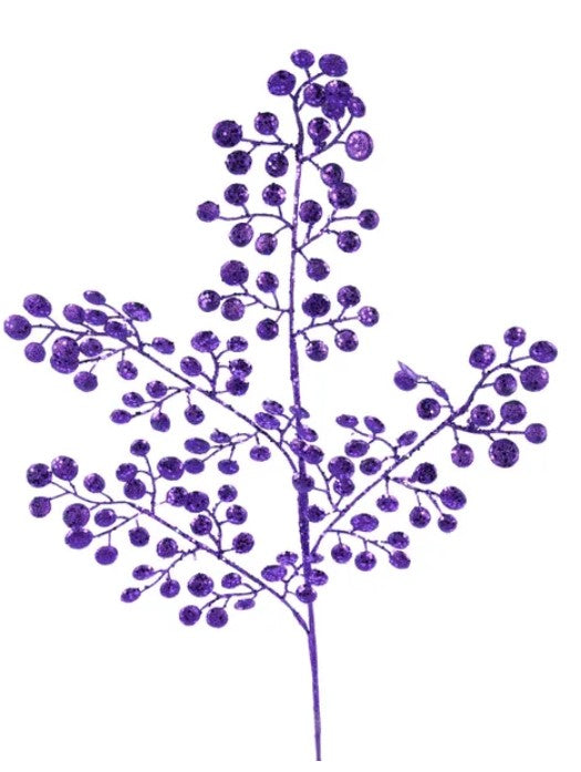 A branch with purple berries or berries-like structures growing on it.